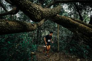 BIB: 
                            <button type="button" onclick="openModal(25708305)" class="btn btn-primary btn-sm float-right btn-popup" data-toggle="modal" data-target=".modal-high-quality">
                        <i class="fas fa-shopping-cart"></i> Add to Cart
                    </button>
                                            <button type="button" onclick="isThisMe(25708305, true)" class="btn btn-success btn-sm float-right btn-popup btn-isme hidden" data-toggle="tooltip" data-placement="bottom" title="นี่คือรูปของคุณใช่ไหม คลิกที่นี่เพื่อเอาเข้าอัลบั้ม">
                        <i class="fas fa-plus"></i> Add to album
                    </button>
                    <button type="button" onclick="isThisMe(25708305, false)" class="btn btn-warning btn-sm float-right btn-popup btn-isnotme hidden">
                        <i class="fas fa-ban"></i> Remove from album
                    </button>